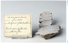 Foto von Anhydrit (NHMW-MIN-Aa3471)